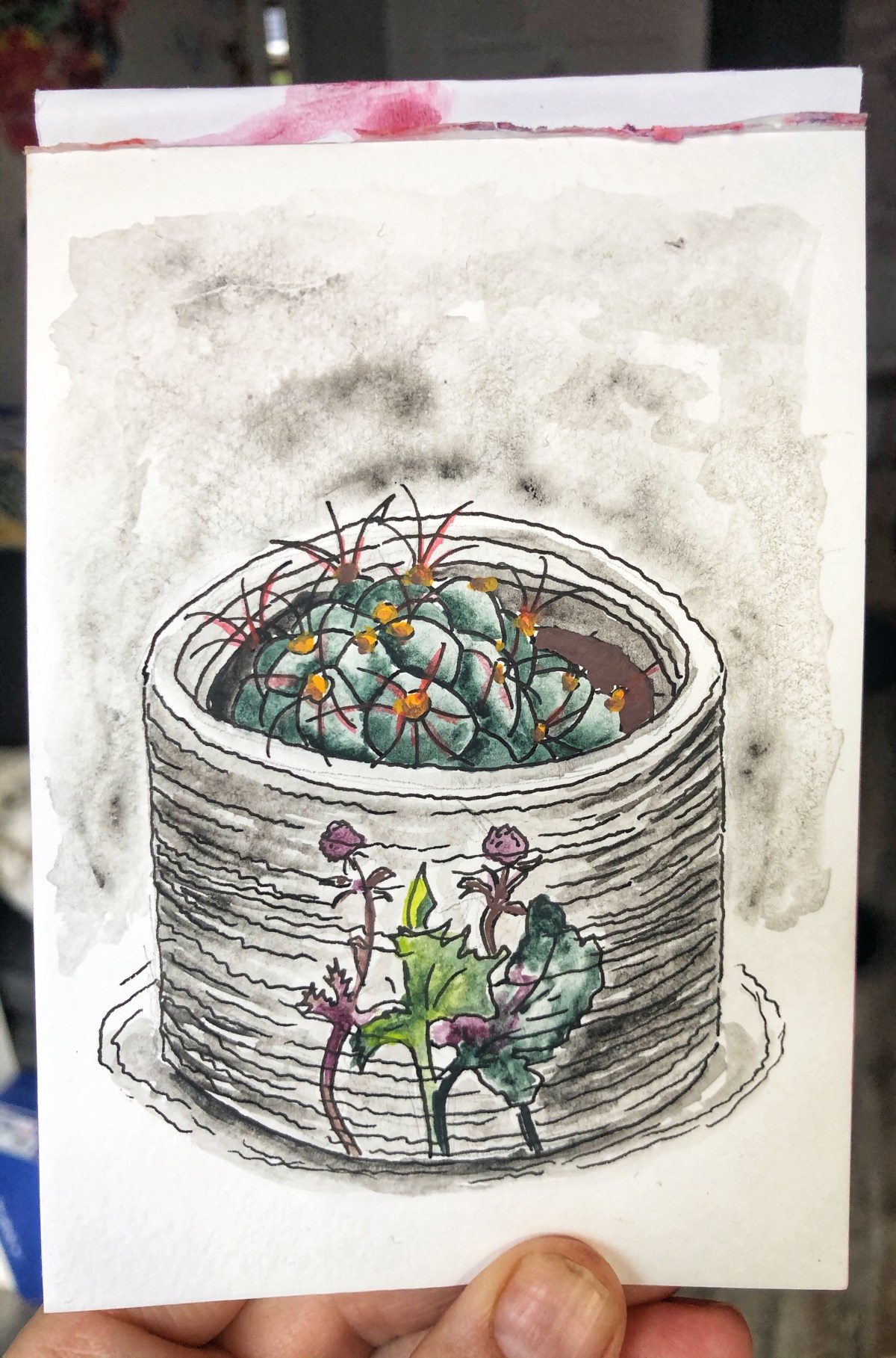 Cactus in a pot. Illustration.