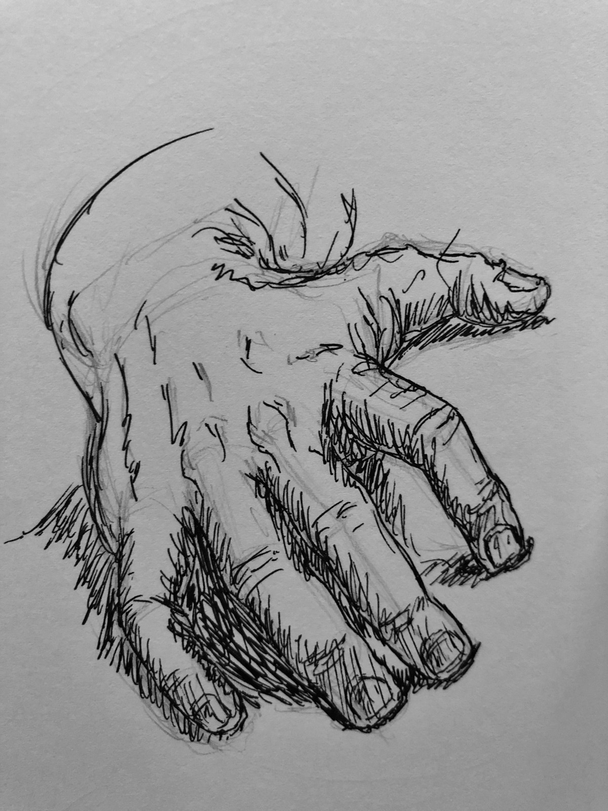 Hand resting on a surface. Illustration.