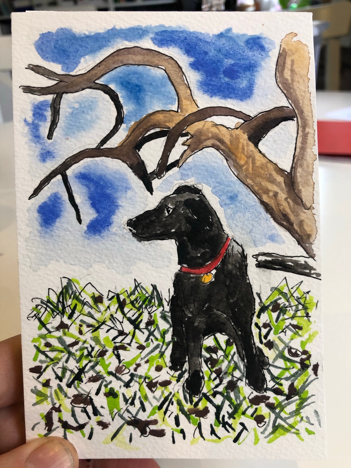 Small painted postcard of our dog in the grass.