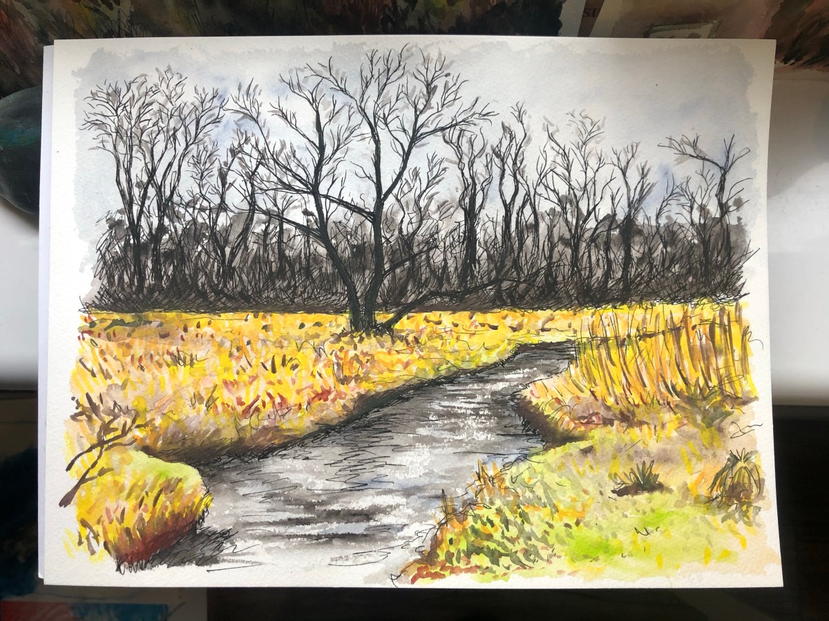 Watercolor painting of a river with dark trees in the background.