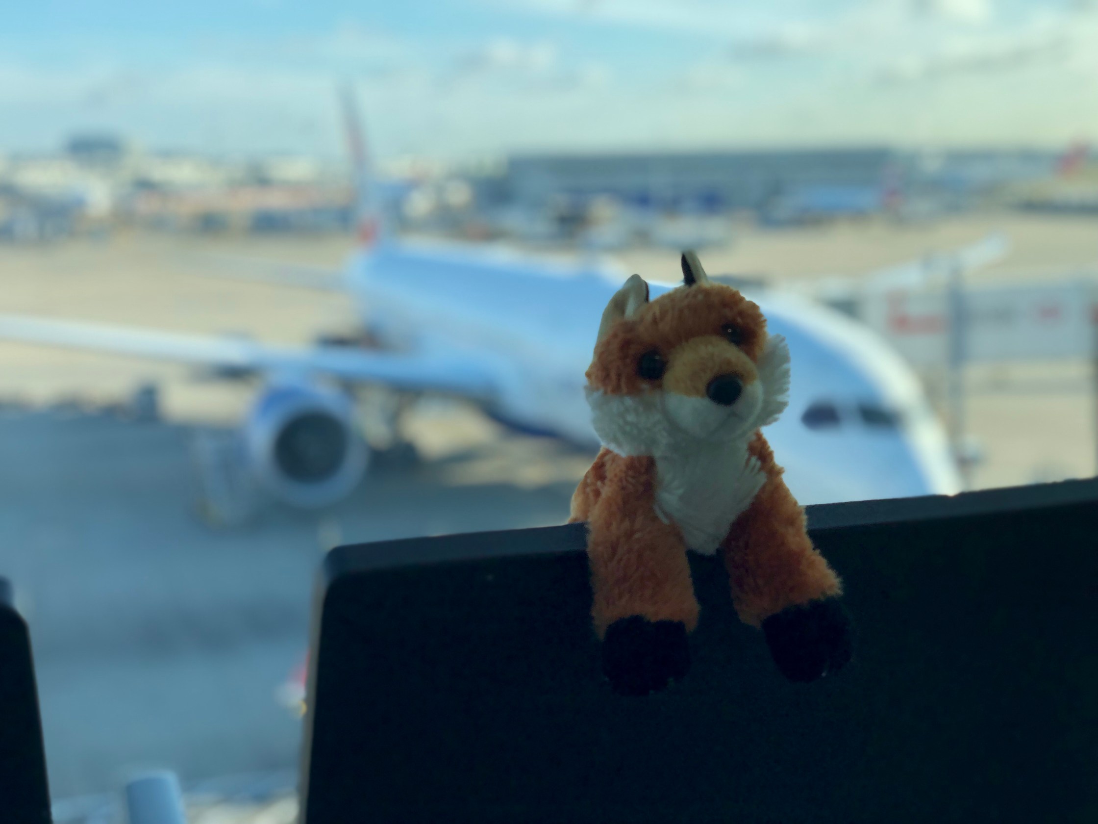 Stuffed animal on a chair at an airport.