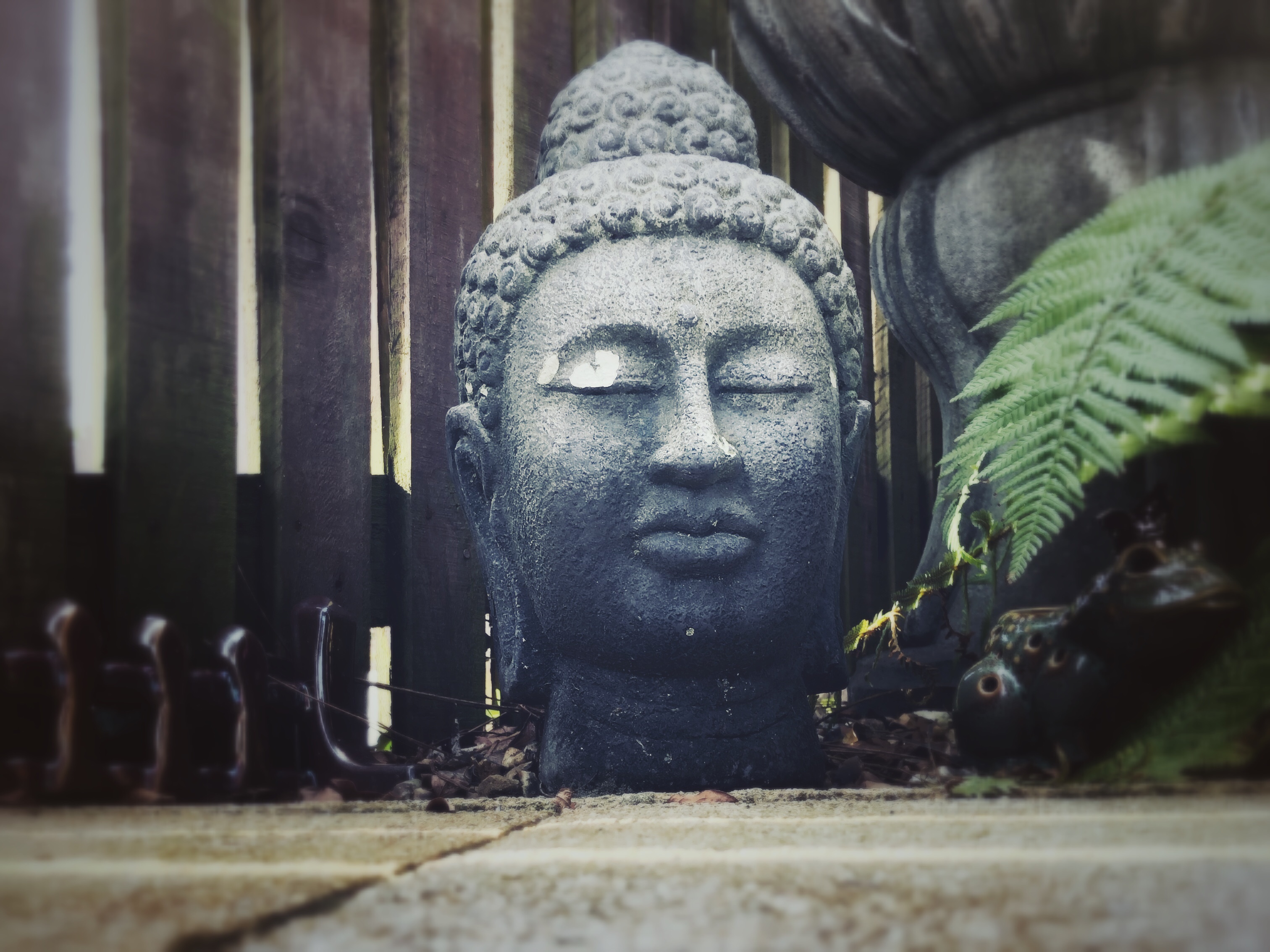 Buddha head statue in a garden next to a fence.