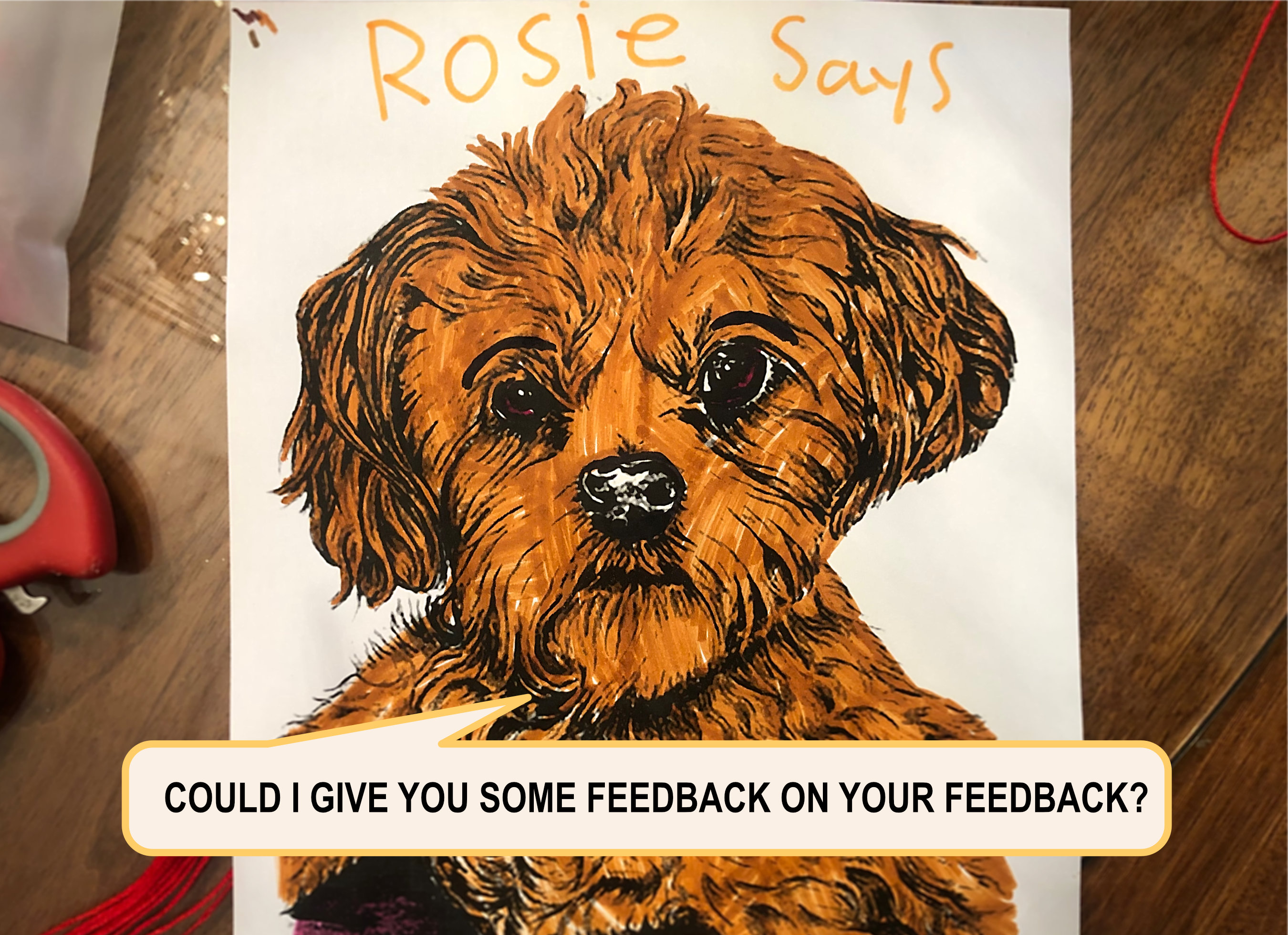 Rosie says feedback