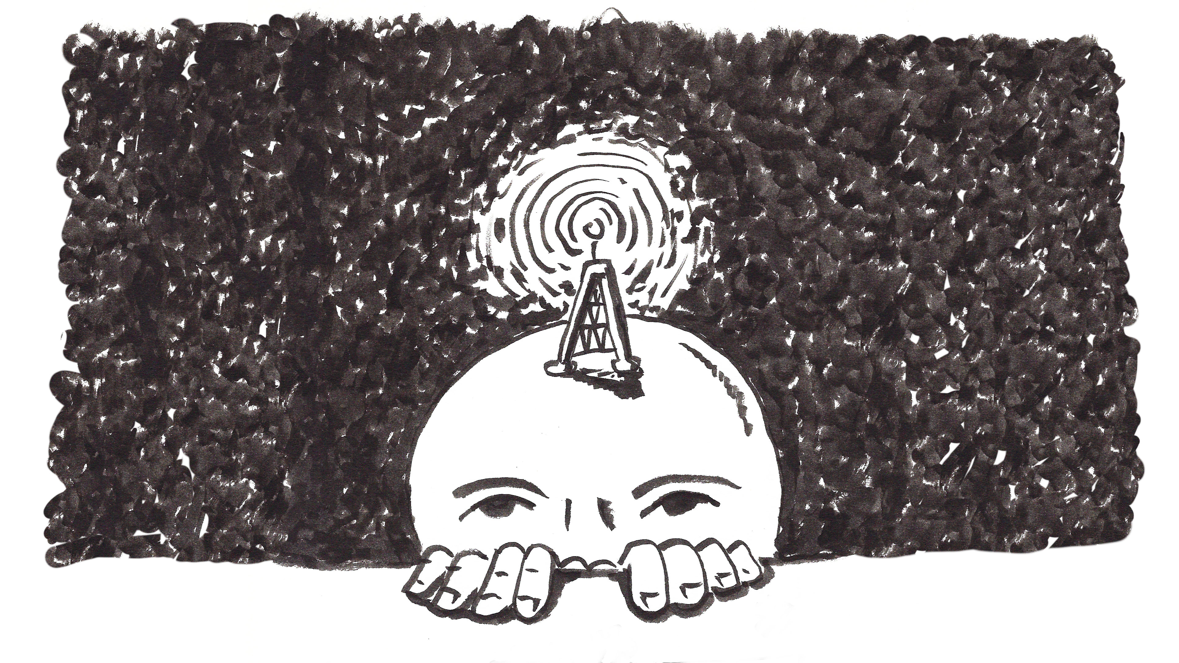 Antennae Illustration wide