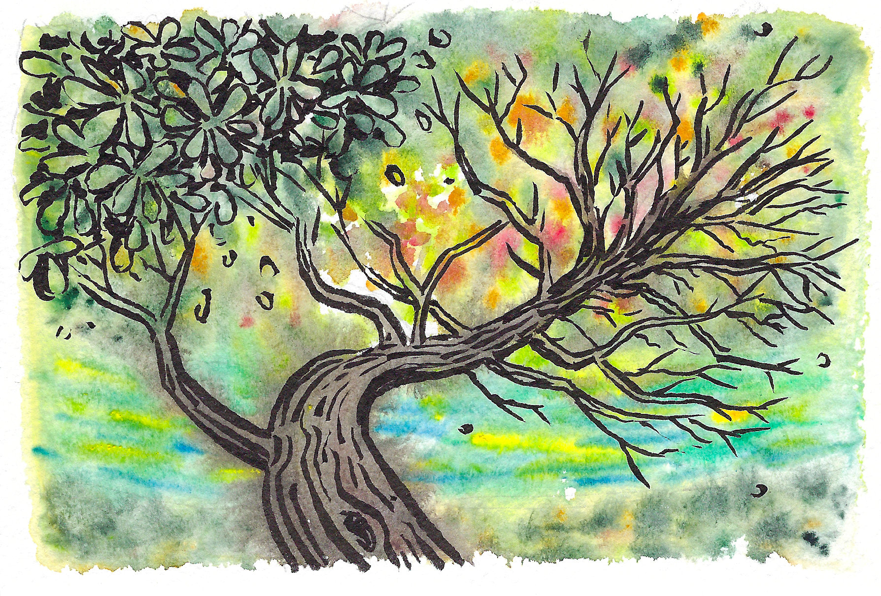 The equinox