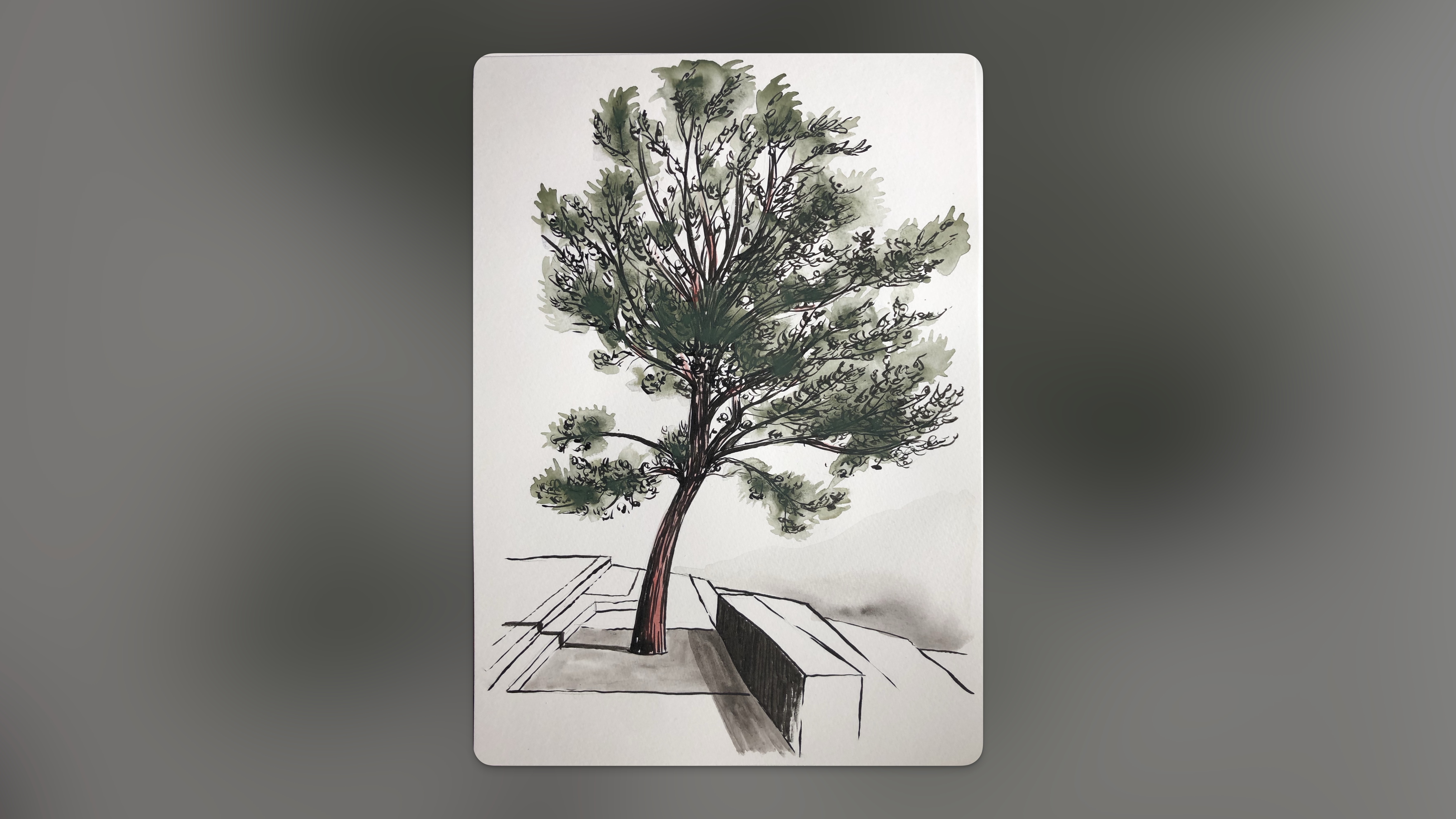 tree illustration feature