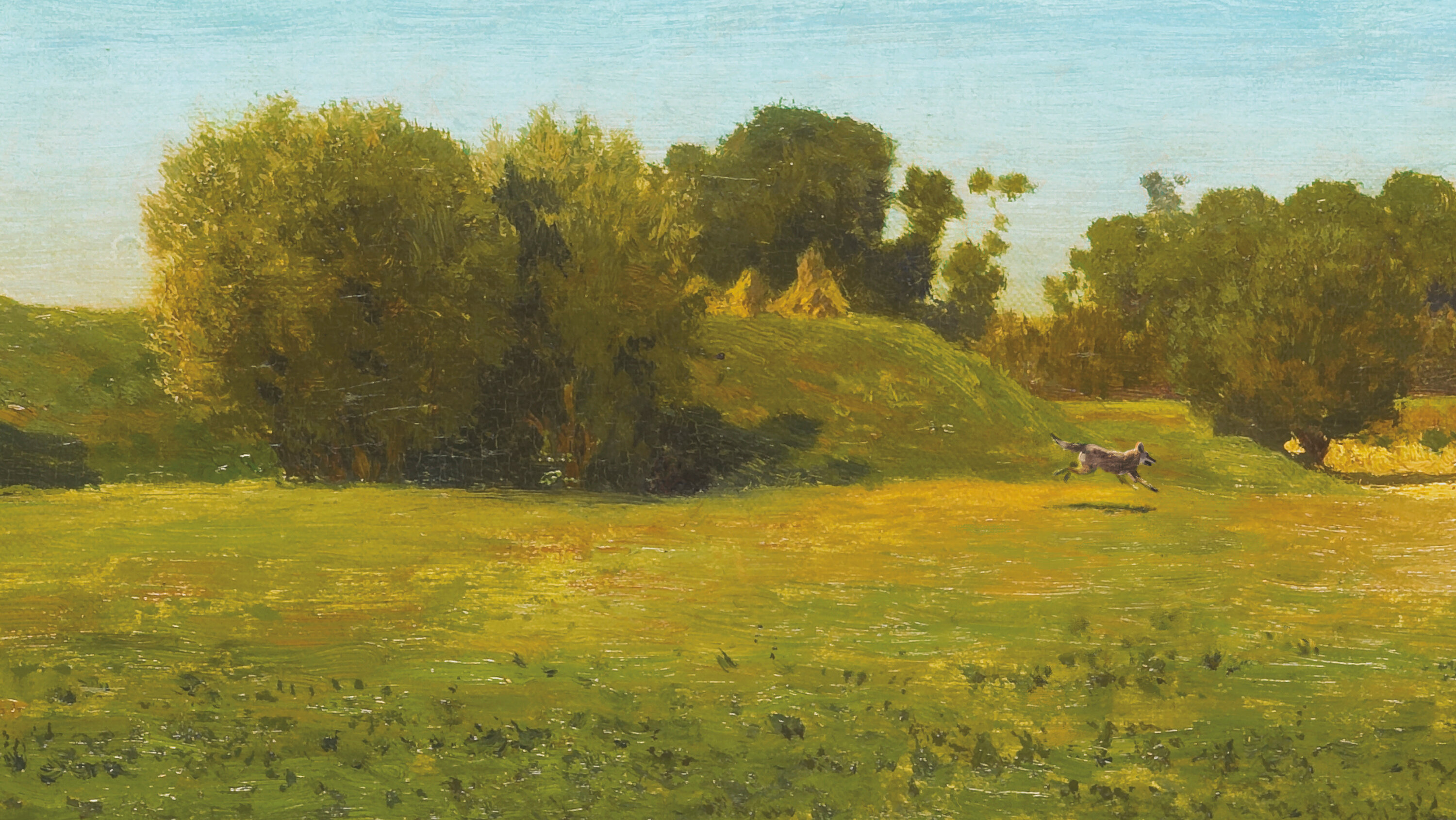 the eyes and the impossible