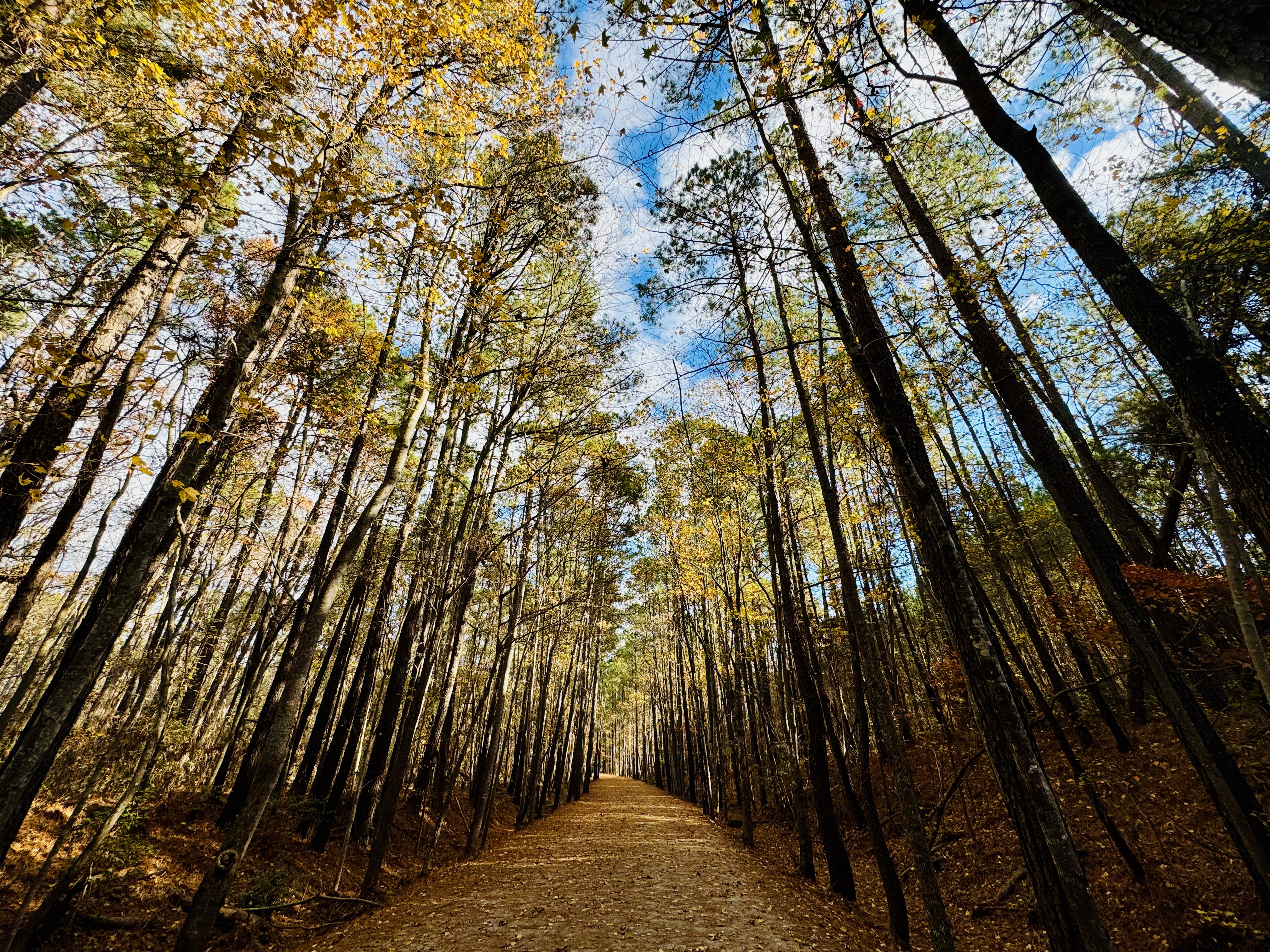 Notes from the trail 11.23