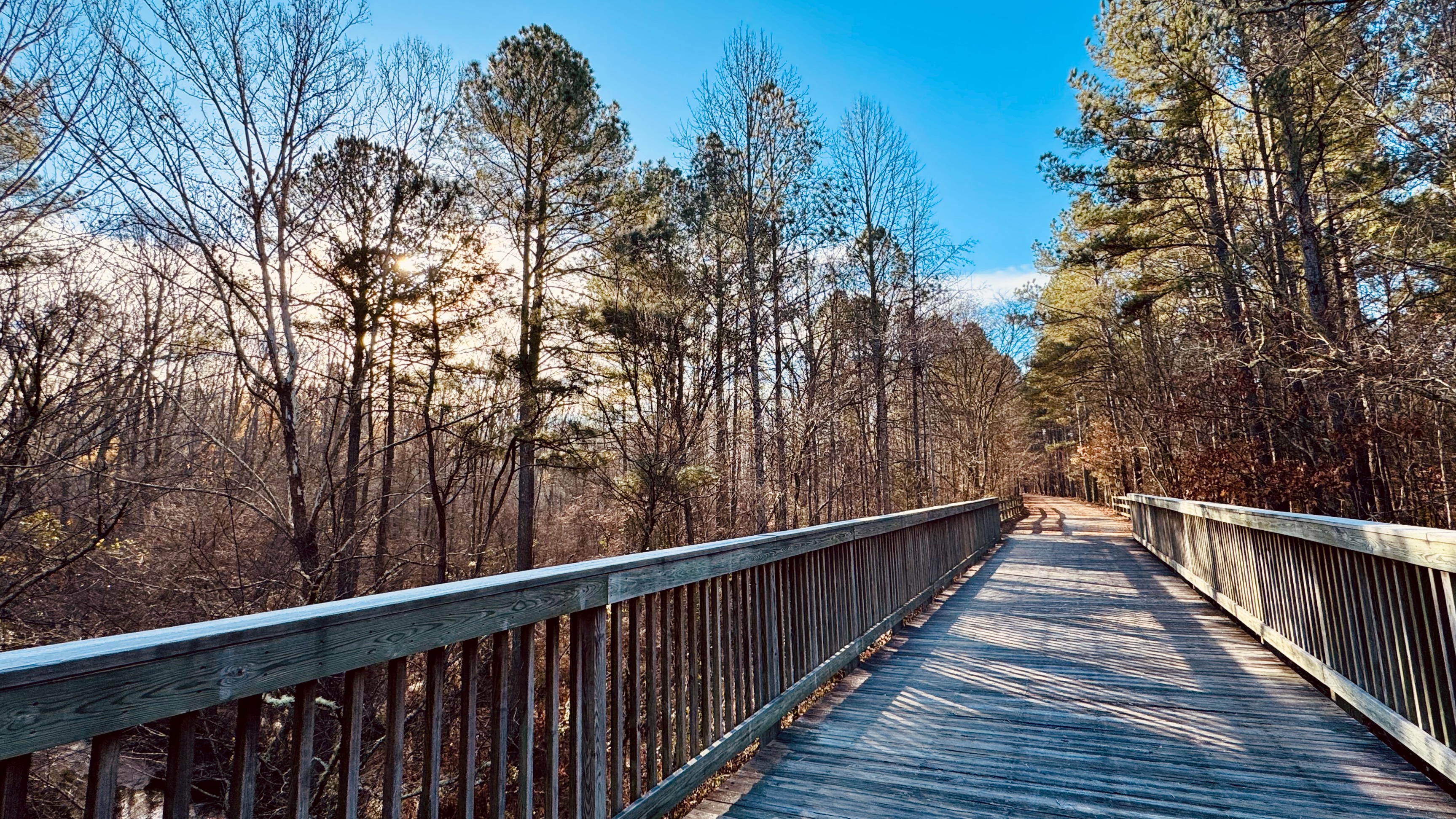 Notes from the trail 12.13