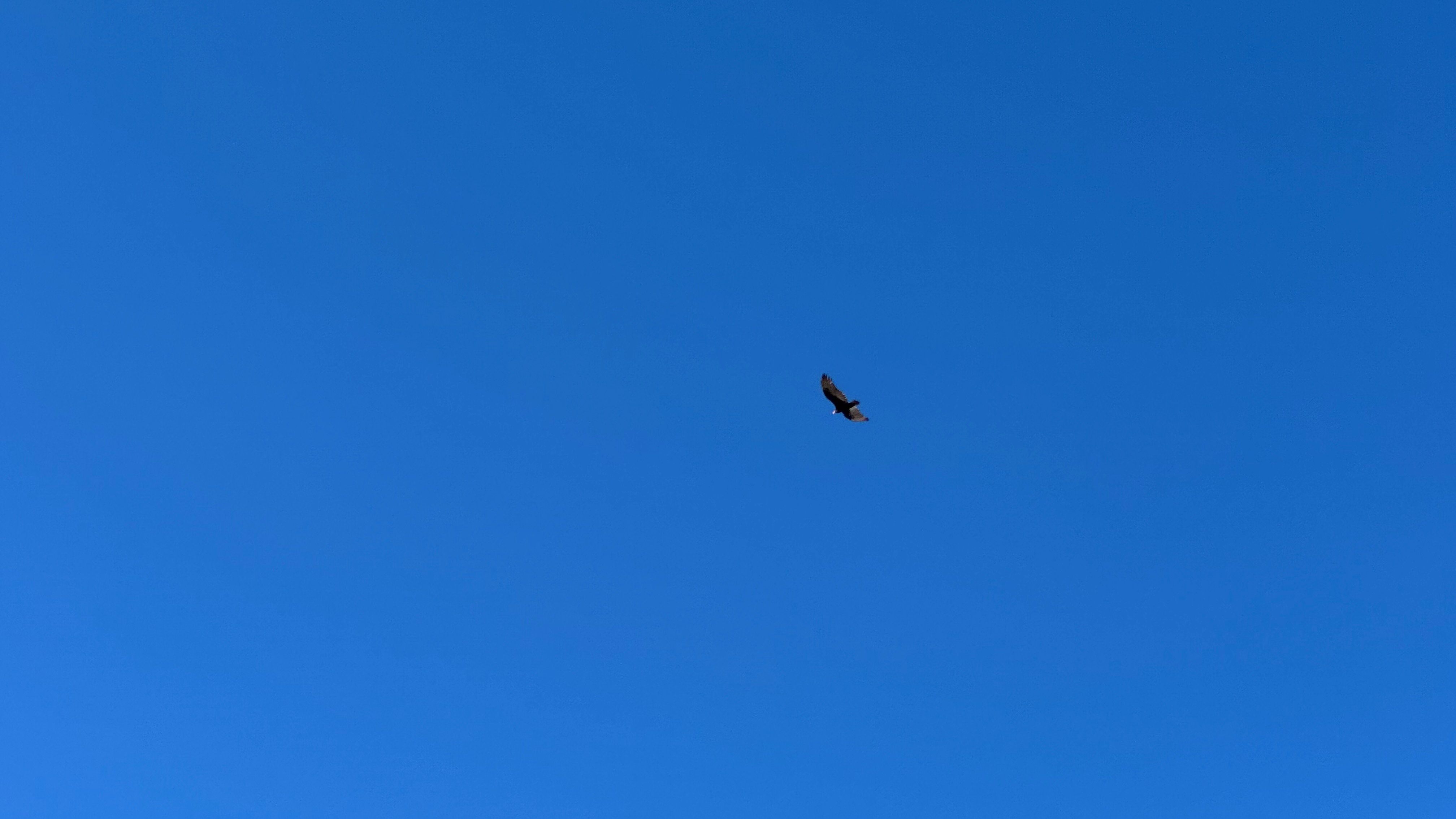 Notes from the trail 01.06