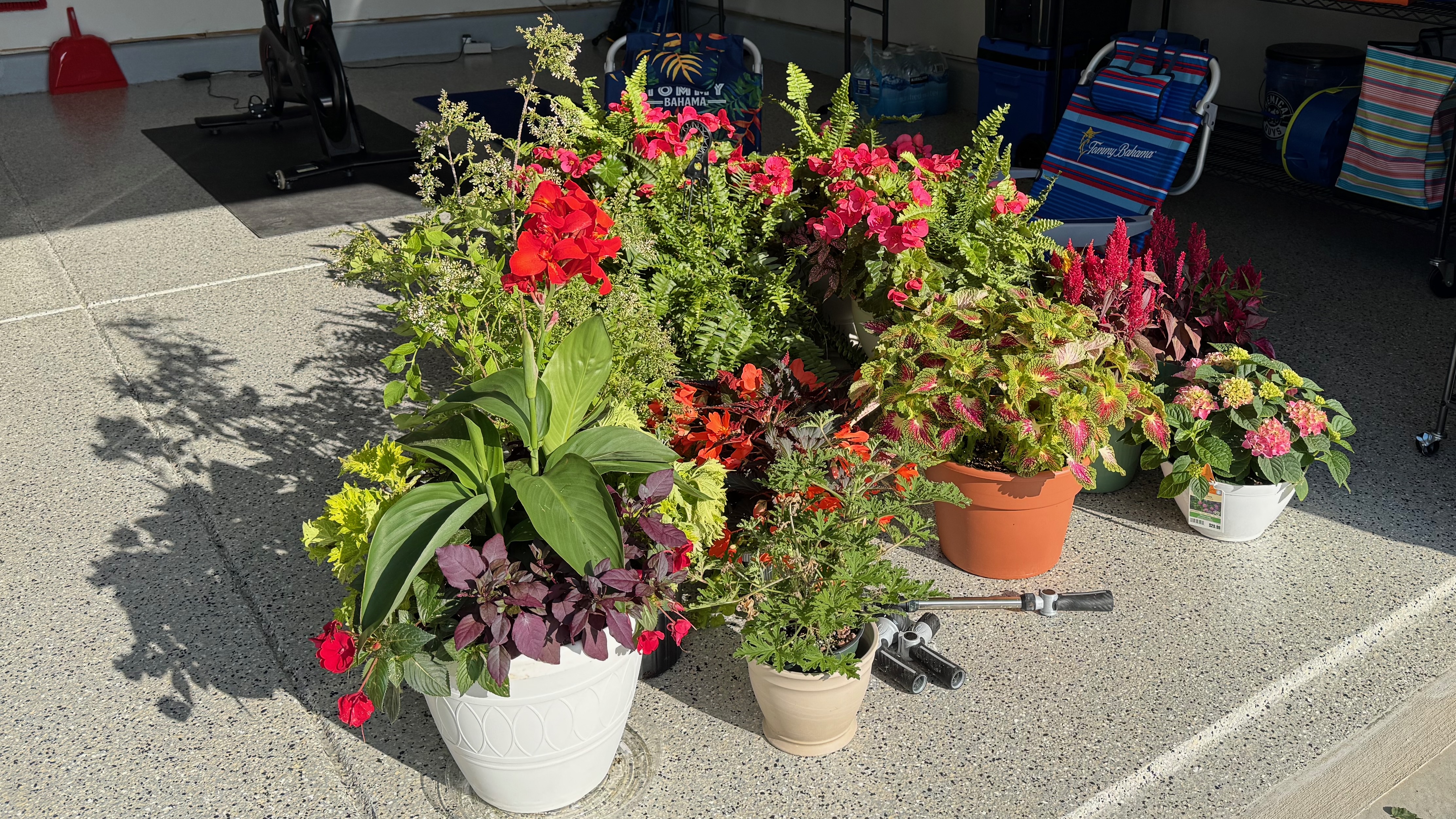 Overexcited for spring