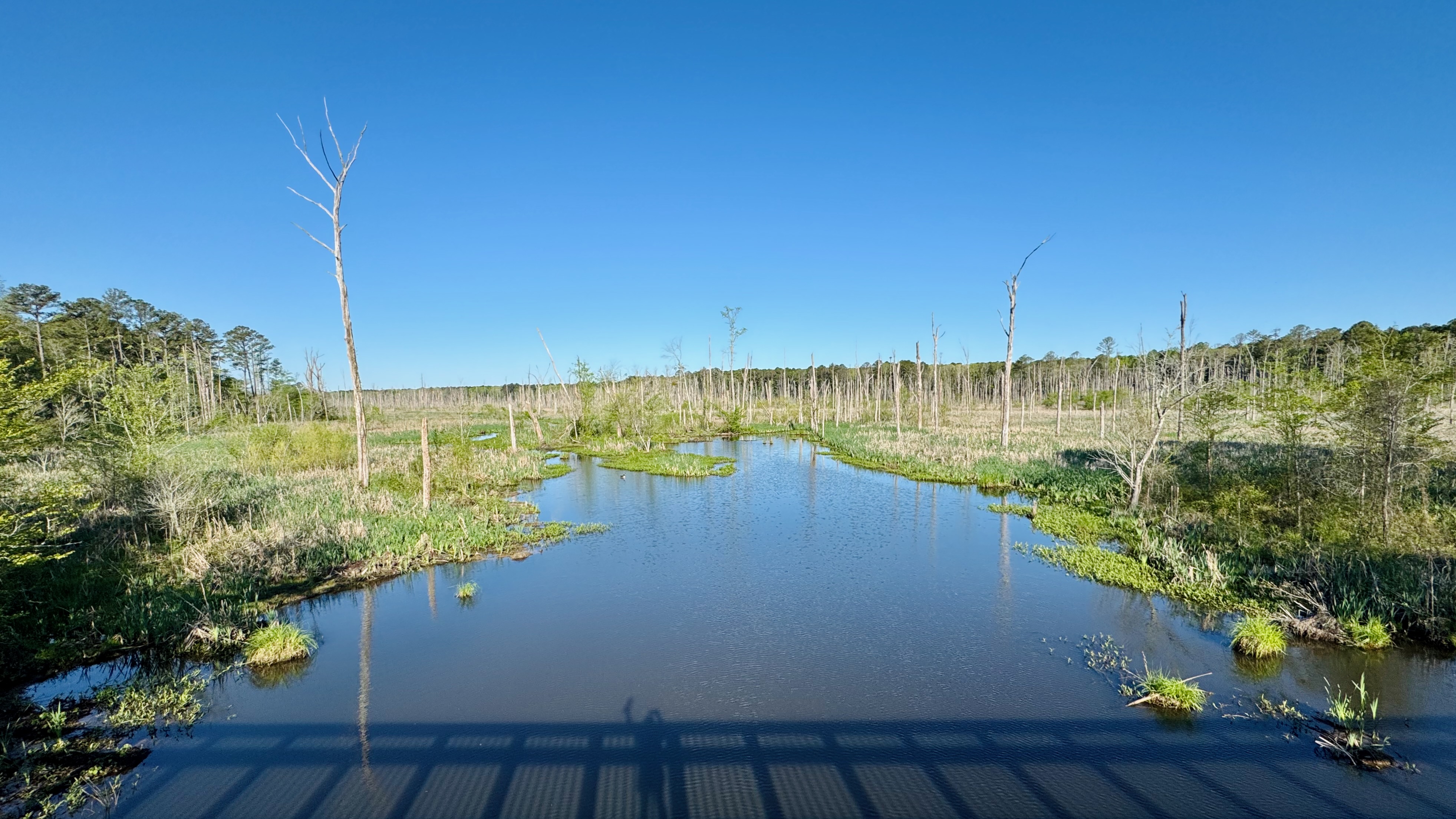 Notes from the trail 04.12